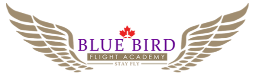 Blue Bird Flight Academy